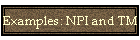 Examples: NPI and TM
